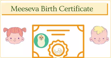 Meeseva Date of Birth Certificate