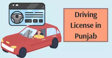 Punjab Driving Licence Online Apply