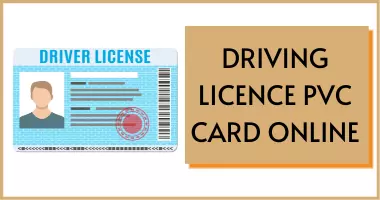 Driving Licence PVC Card Online