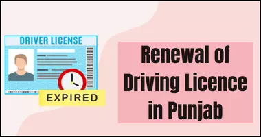 Renewal of Driving Licence in Punjab