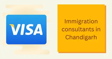 Immigration consultants in Chandigarh