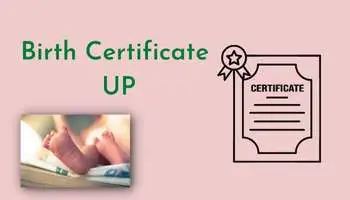Birth Certificate UP