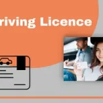 AP Driving Licence