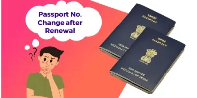 Passport Number after renewal
