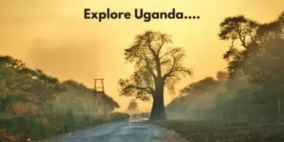 Uganda visa online