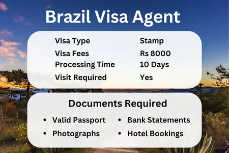 Brazil Visa Agent