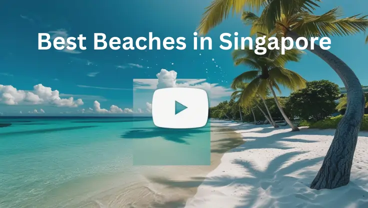 Singapore Beaches Video