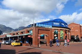 This image has an empty alt attribute; its file name is download-6.jpg